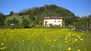 A two-story building with a white facade and brown roof, surrounded by a field of yellow flowers and a hill in the background. - Agriturismo Il Cavicchio (Pianoro)