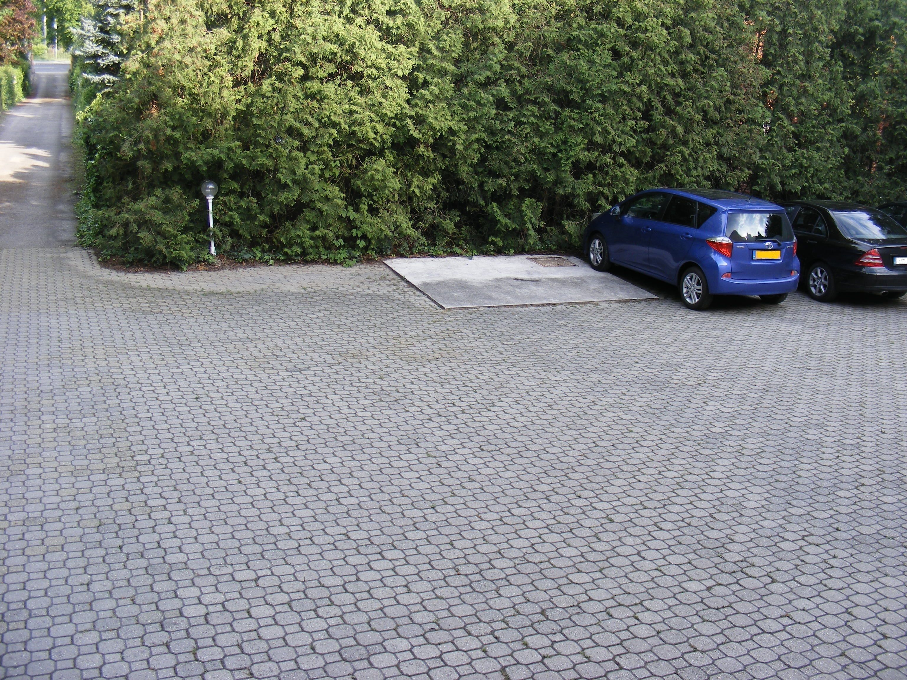 Een verhard parkeerterrein met twee geparkeerde auto's, omringd door weelderige begroeiing.