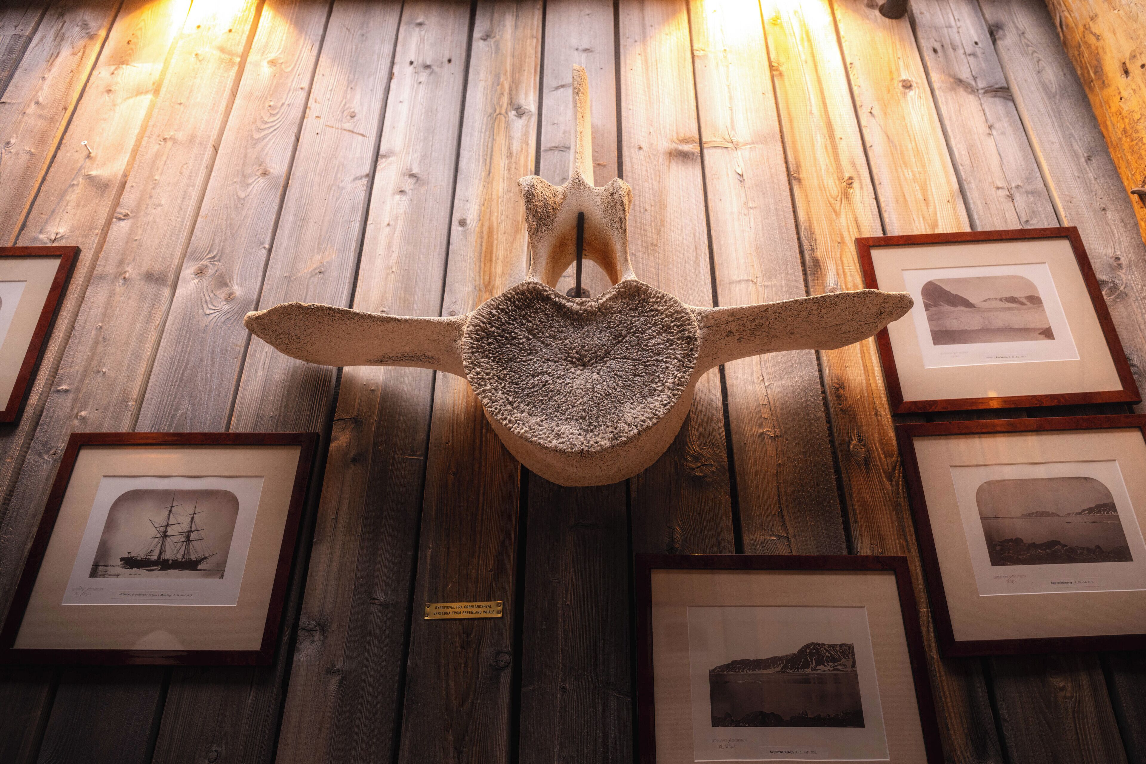 Pared de madera con marcos y fotografías, y una escultura grande y texturizada.