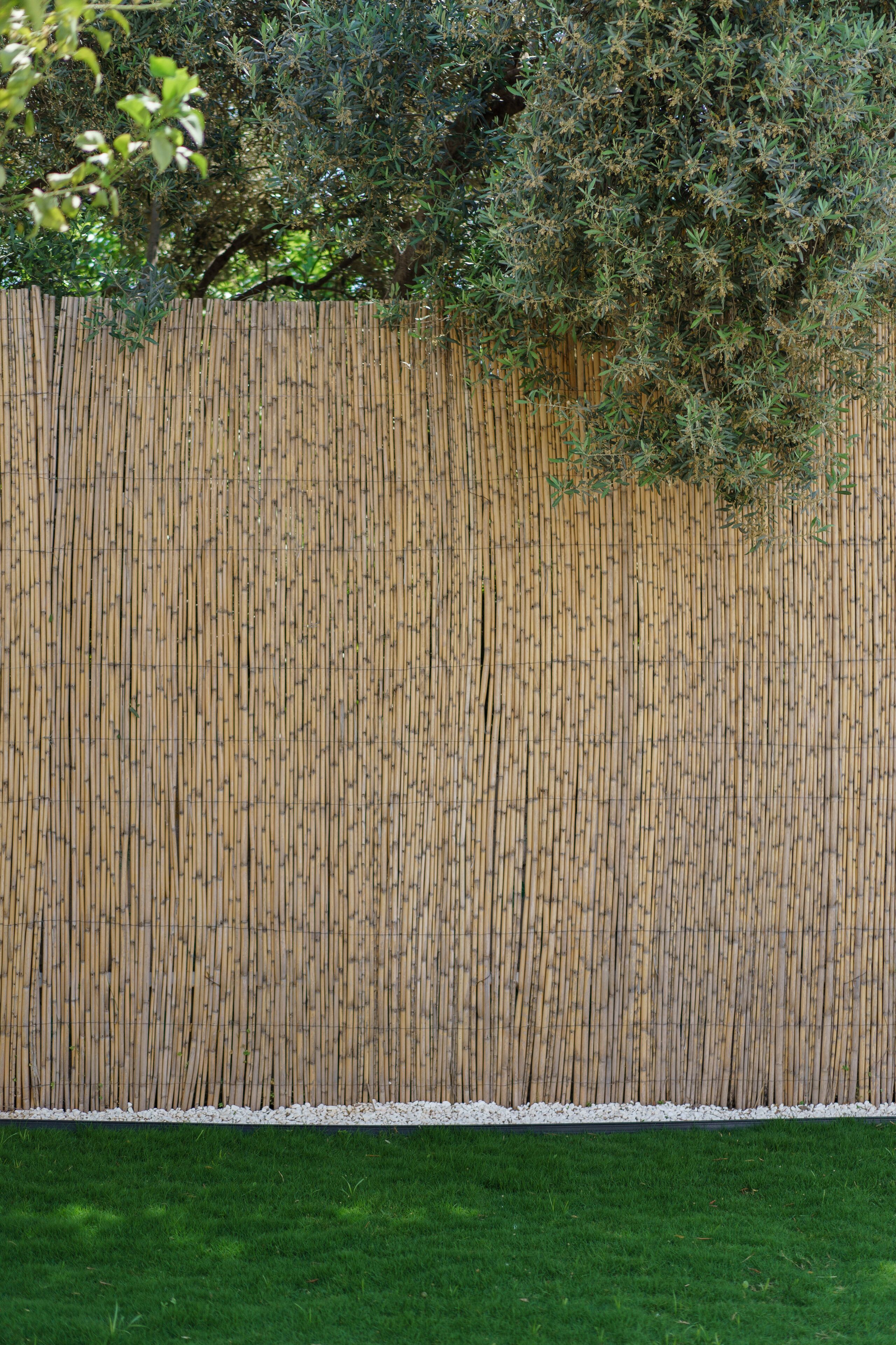A bamboo fence with a white gravel base, surrounded by green grass and dense foliage.