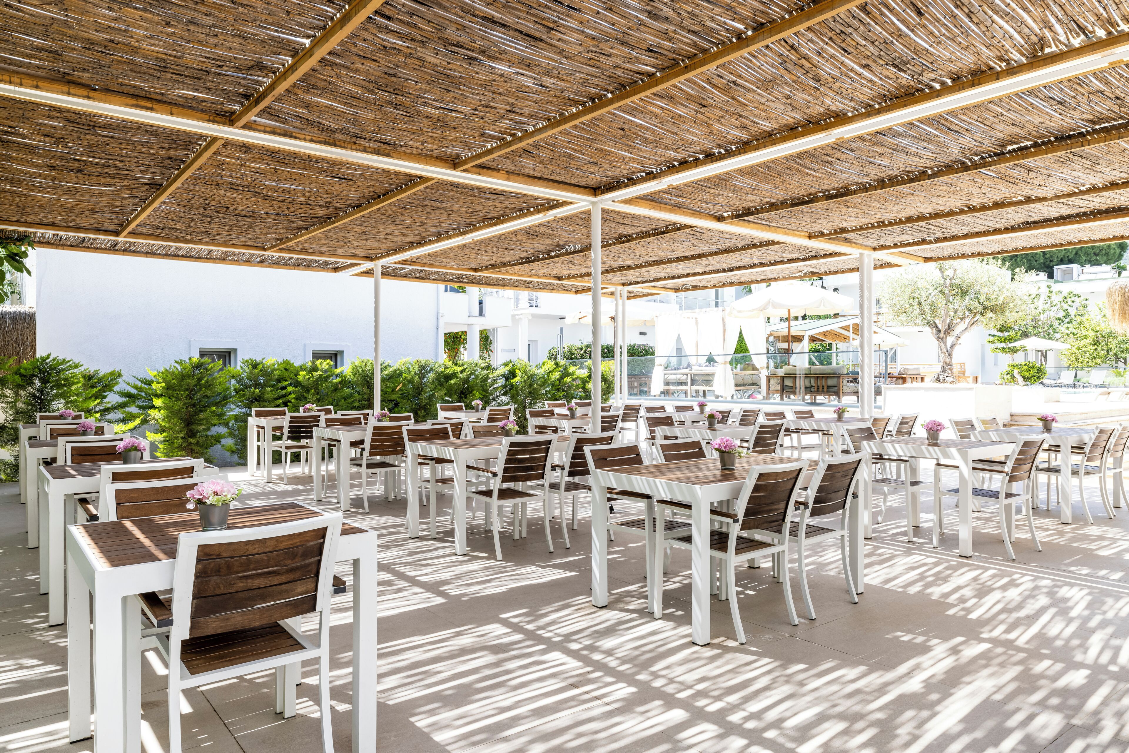Un espace extérieur aménagé avec des tables et des chaises, abrité par un toit de chaume et entouré de verdure.