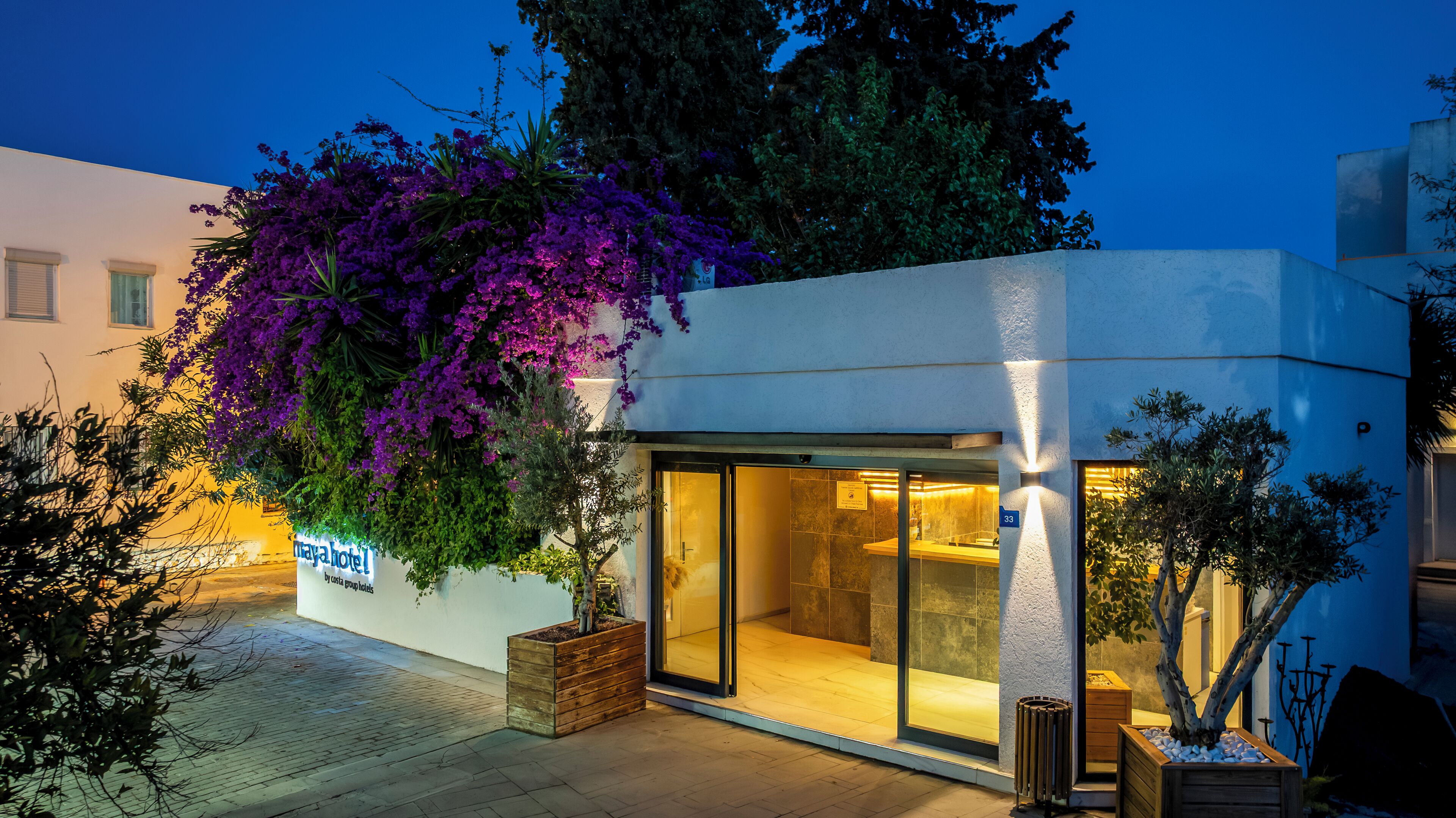 A modern hotel entrance with a glass door, a sign reading "maya hotel," and a wooden planter with plants.