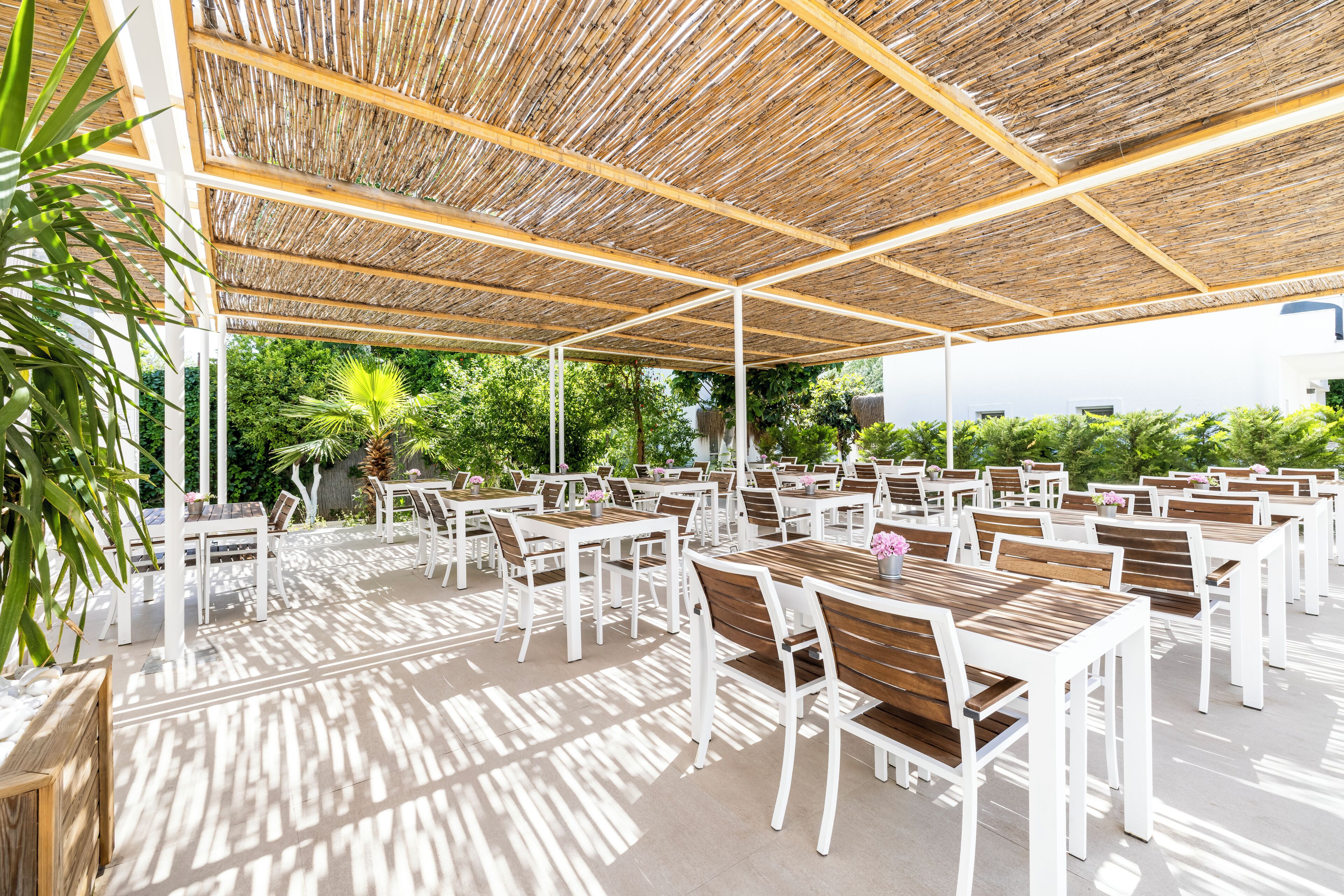 An outdoor dining area with white tables and chairs, a thatched roof, and greenery in the background.
