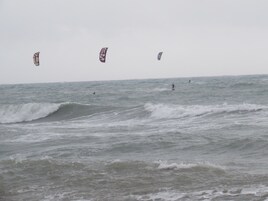 Servicio de la propiedad