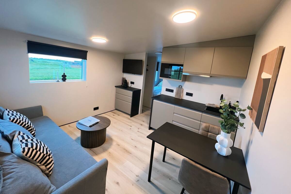 A compact living space with a sofa, a small round table, a dining table, and a kitchen area with cabinets and a countertop.