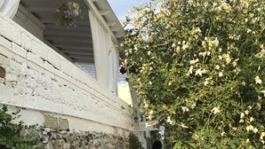 Property entrance - Morpheus Rooms (Syros)