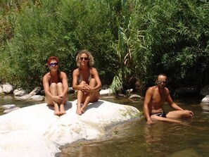 Natural pool