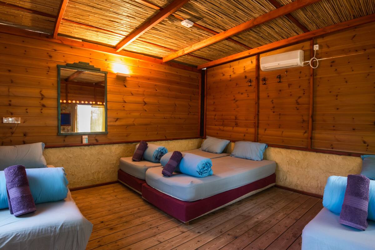 Standard Cabin, Multiple Beds, Shared Bathroom