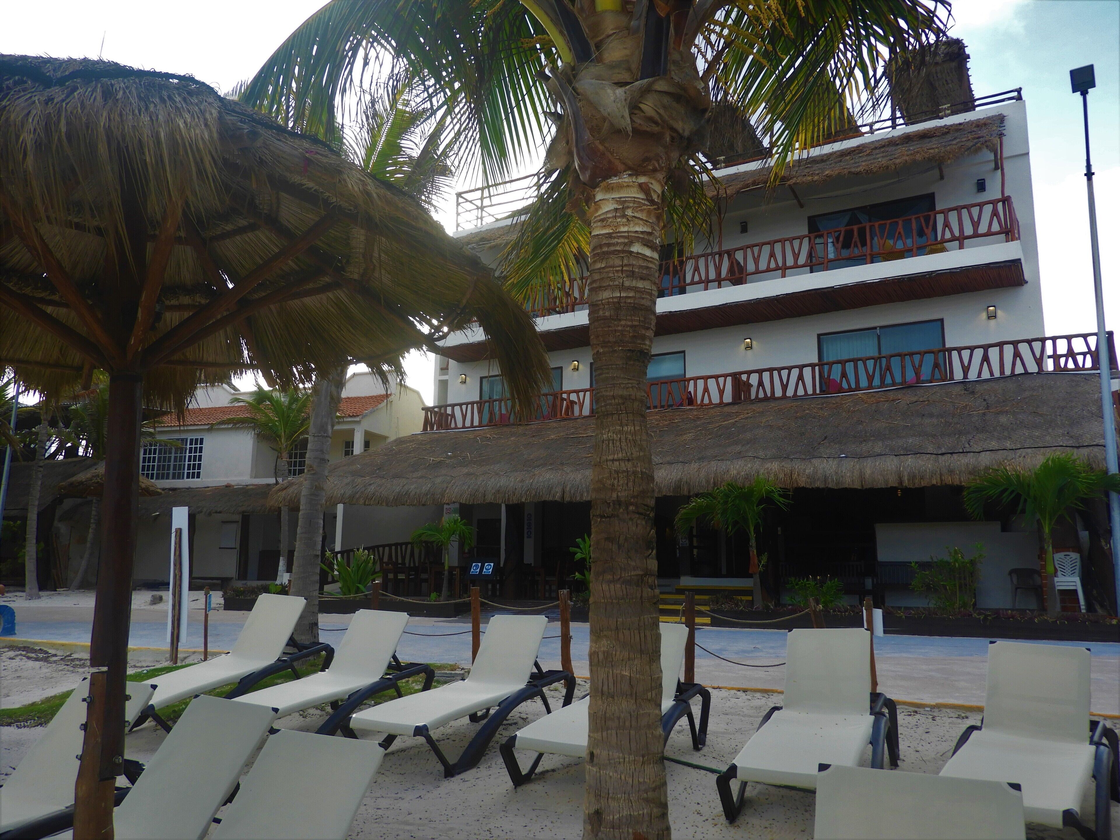 A resort with thatched-roof buildings, white lounge chairs, and palm trees.