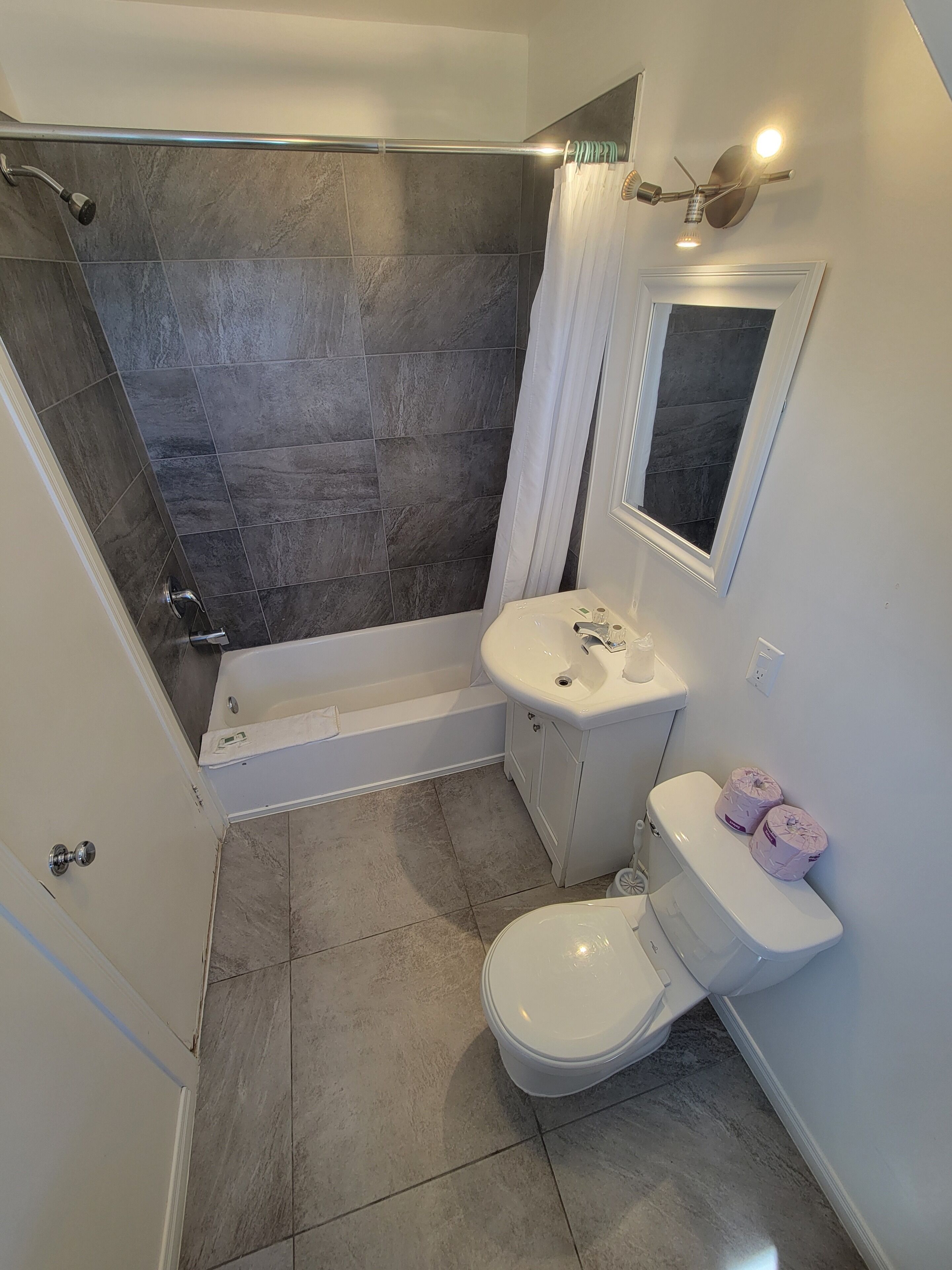 A bathroom with a shower, toilet, sink, and a mirror.