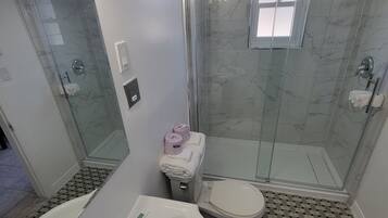 Un bagno con doccia vetrata, un water, un lavandino e uno specchio.