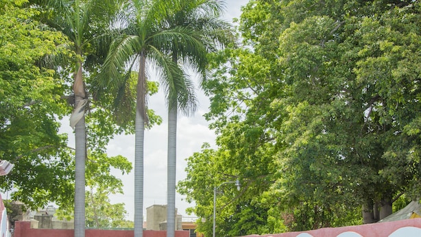 Una piscina con pared roja y arcos blancos, rodeada de palmeras y plantas en macetas.