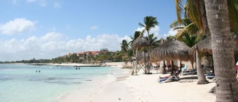 Beach nearby, white sand, fishing