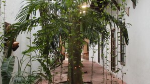 Ein schmaler Gang mit einem zentralen Baum, umgeben von verschiedenen Pflanzen und einem gefliesten Boden.