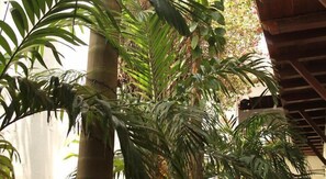 Property grounds - Casa del Tejadillo (Cartagena)