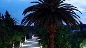 A paved pathway flanked by palm trees, leading towards a distant structure. - Relais Villa Lucia (Carovigno)
