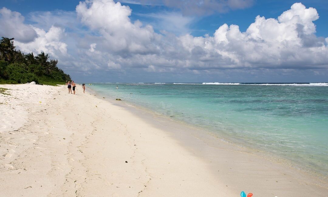 Beach nearby, beach towels, beach massages, scuba diving