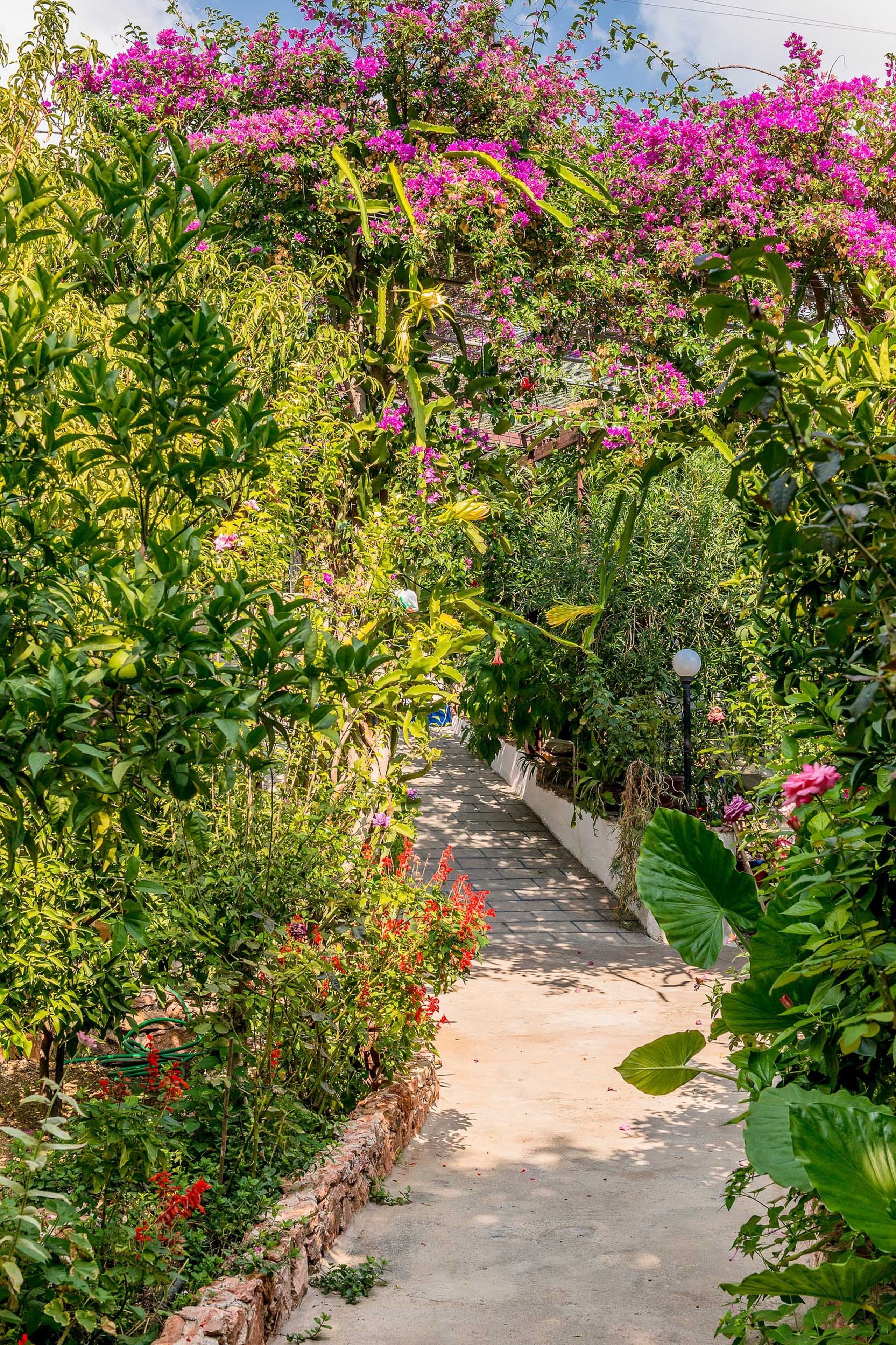 Näkymä majoituspaikasta