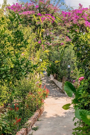 Näkymä majoituspaikasta