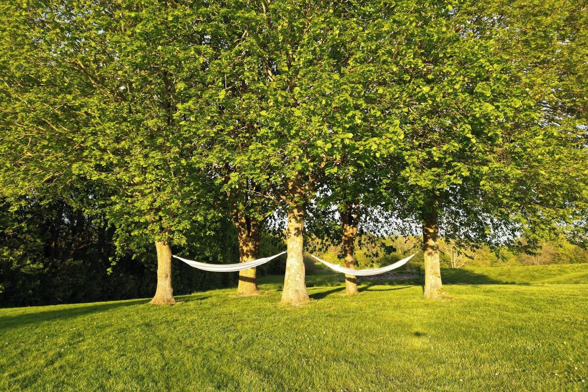 land view from property