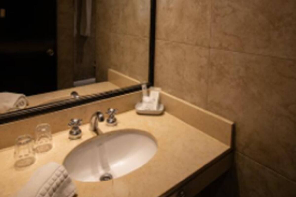 shower, free toiletries, hair dryer, bidet