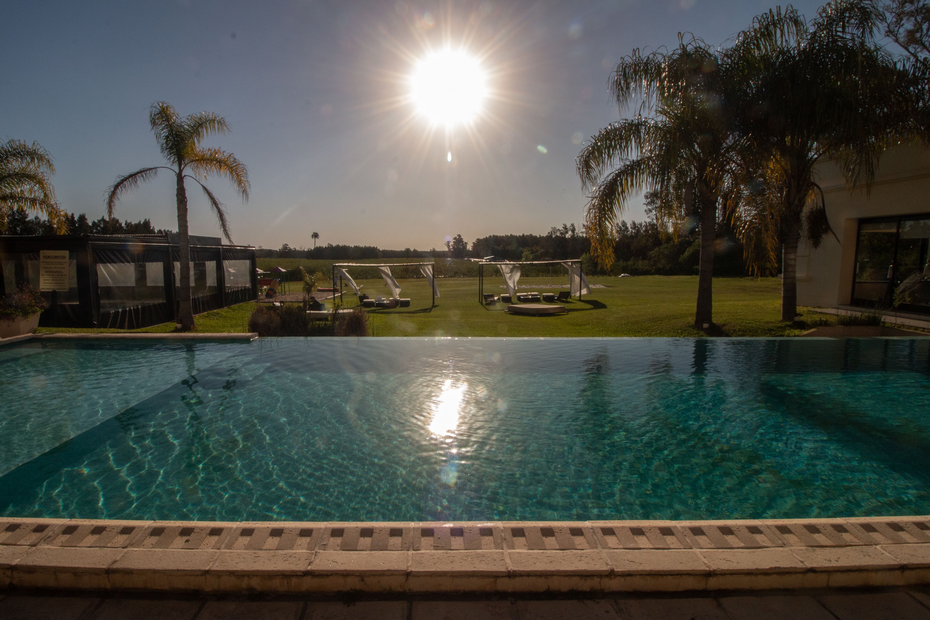 A clear swimming pool with a sunlit sky, palm trees, and a grassy area with a gazebo.