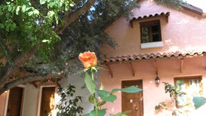 Unclassified image, 3 of 64, button - Olive Tree Cottages (Kantanos-Selino)