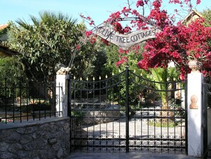 Exterior - Olive Tree Cottages (Kantanos-Selino)