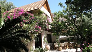 Unclassified image, 4 of 64, button - Olive Tree Cottages (Kantanos-Selino)