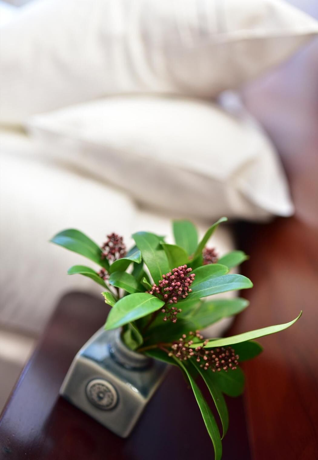 memory-foam beds, desk, blackout curtains, soundproofing