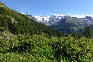 Vistas a la montaña