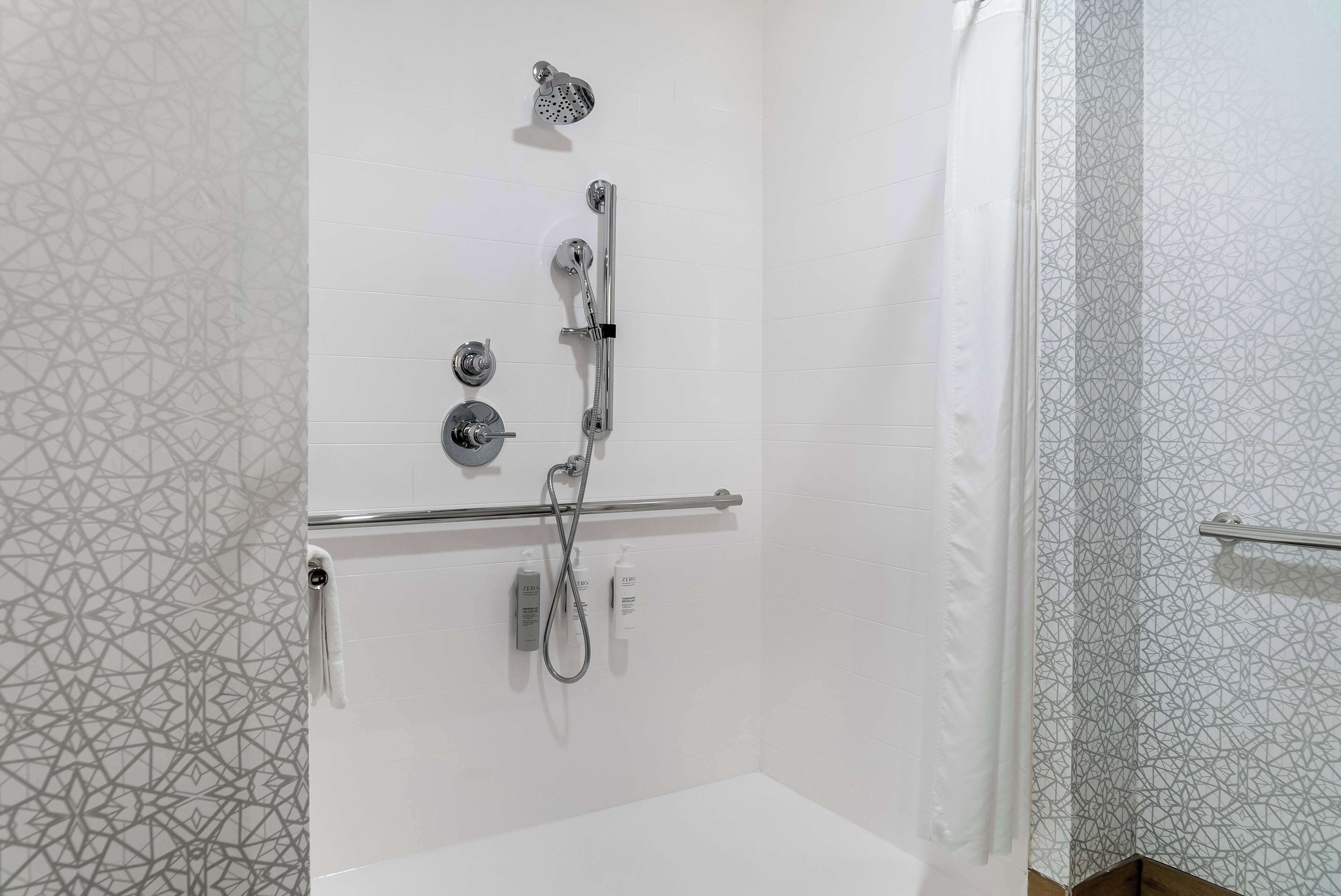 room, 1 king bed, accessible, non smoking | bathroom shower