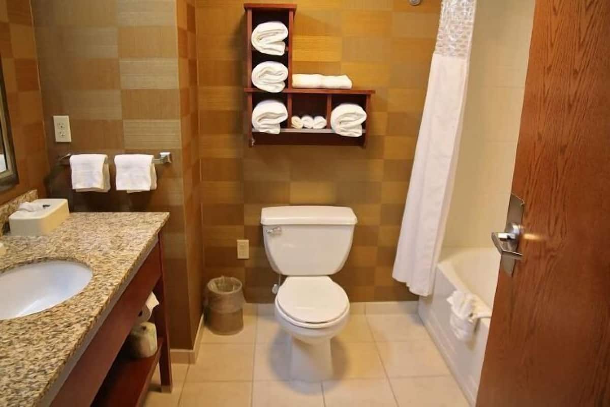 Bathroom | Hair dryer, towels