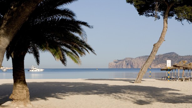 A beach with palm trees, a boat, and a mountain in the background. - Apartamentos Jutlandia (Calvia)