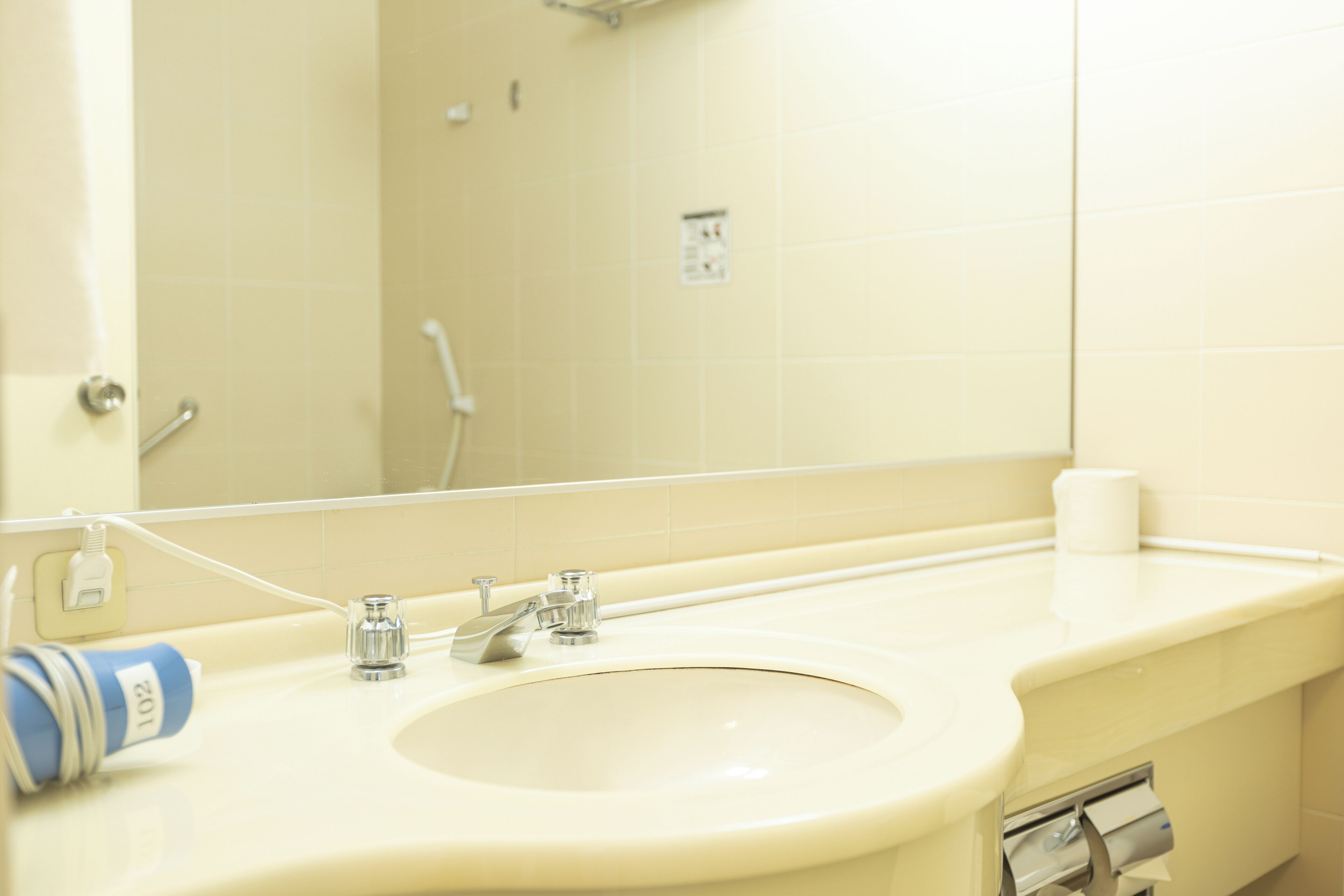 A bathroom with a sink, mirror, and toilet paper dispenser.