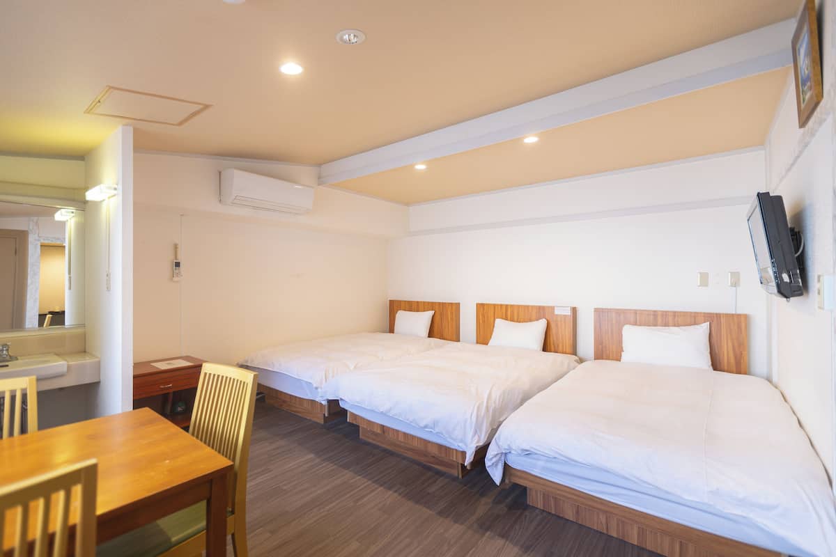 Habitación de hotel con dos camas individuales, un escritorio de madera, una silla, una mesita y un espejo.