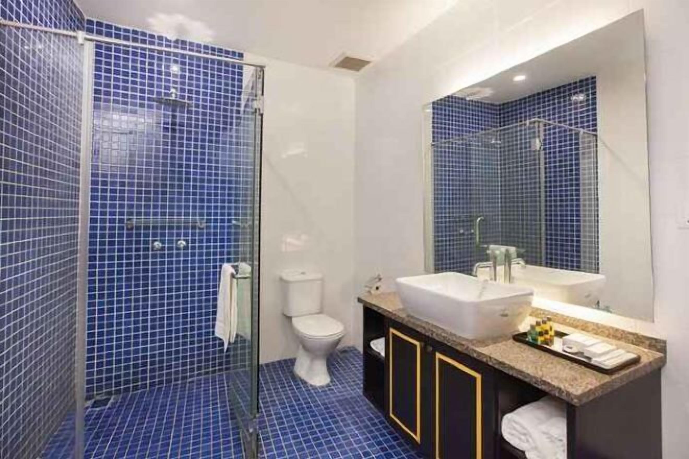 Baño | Ducha y cabezal de ducha tipo lluvia