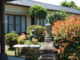 庭院