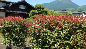 Un edificio tradizionale giapponese con un cartello in giapponese, circondato da vegetazione lussureggiante e una montagna sullo sfondo.