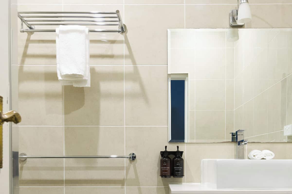 Shower, free toiletries, hair dryer, towels