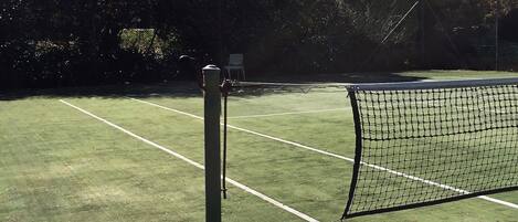 A tennis court with a net, surrounded by trees and a fence.