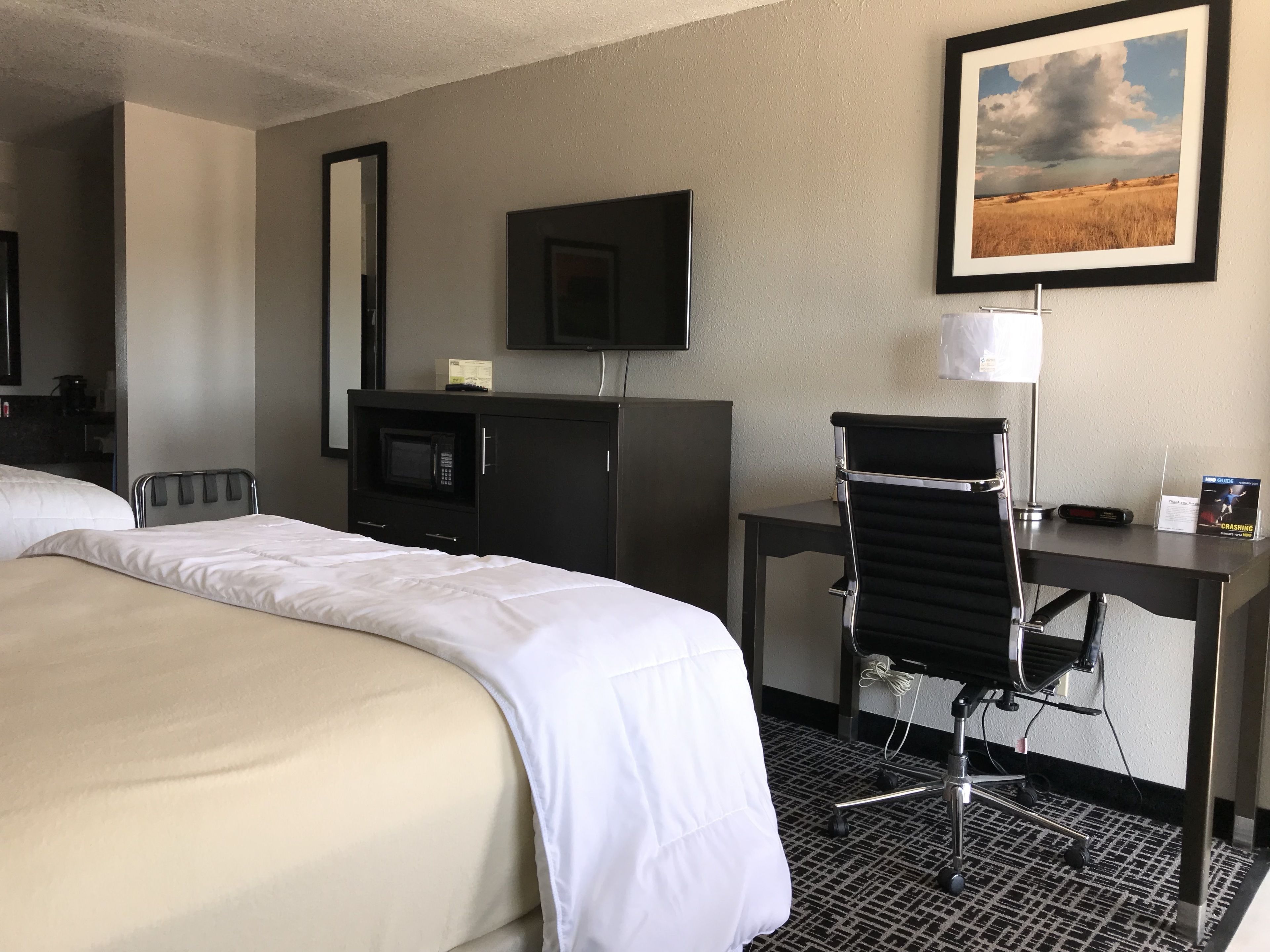 Habitación de hotel con una cama, un escritorio, una silla, un televisor, un microondas y un cuadro en la pared.