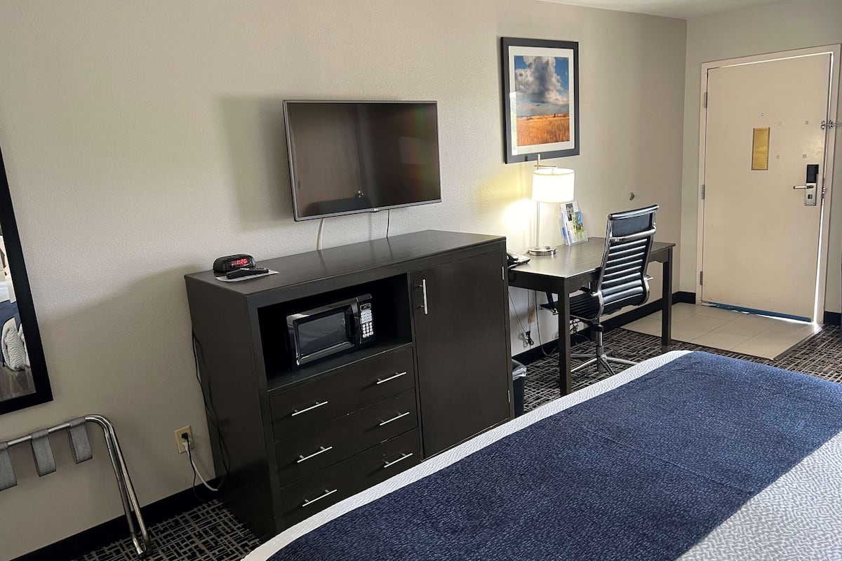 A hotel room with a bed, a desk with a chair, a television, a microwave, and a door.