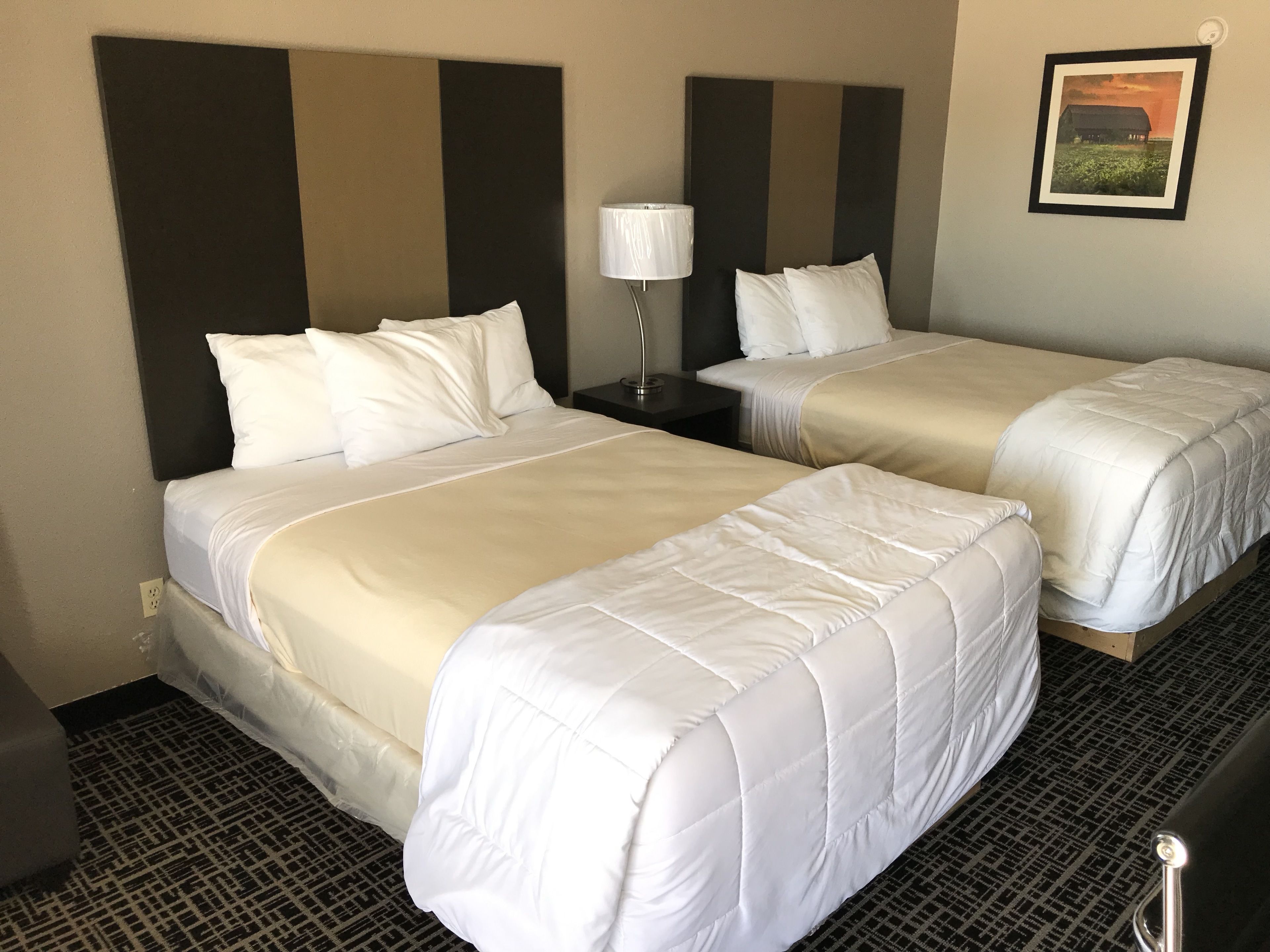 A hotel room with two beds, a nightstand, a lamp, and a framed picture on the wall.