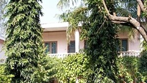 A building with a balcony and a garden with trees and flowers. - Rhino Lodge & Hotel (Sauraha)