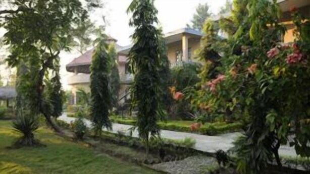 A garden with a pathway, trees, and a building in the background. - Rhino Lodge & Hotel (Sauraha)