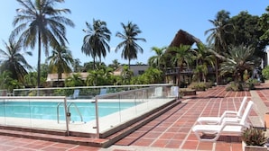 Un área de piscina con vista despejada, sillas de descanso y palmeras.