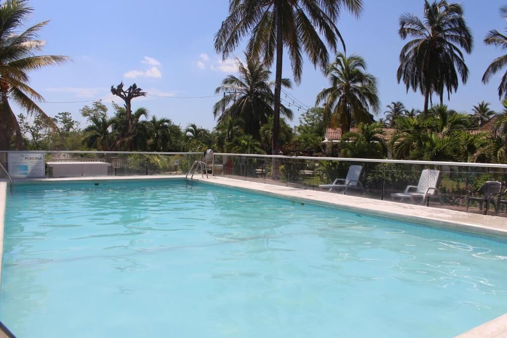 Piscina con valla, rodeada de palmeras y sillas de descanso.