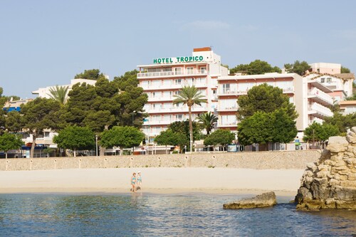 Palia Tropico