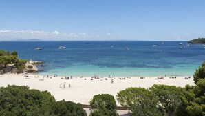 Unclassified image, 3 of 106, button - Palia Tropico (Calvia)
